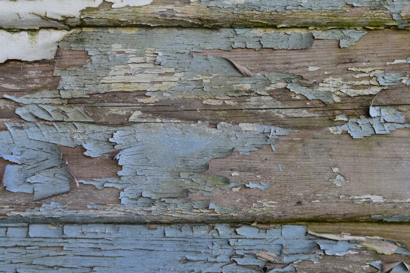 Climate Impact on Paint Durability